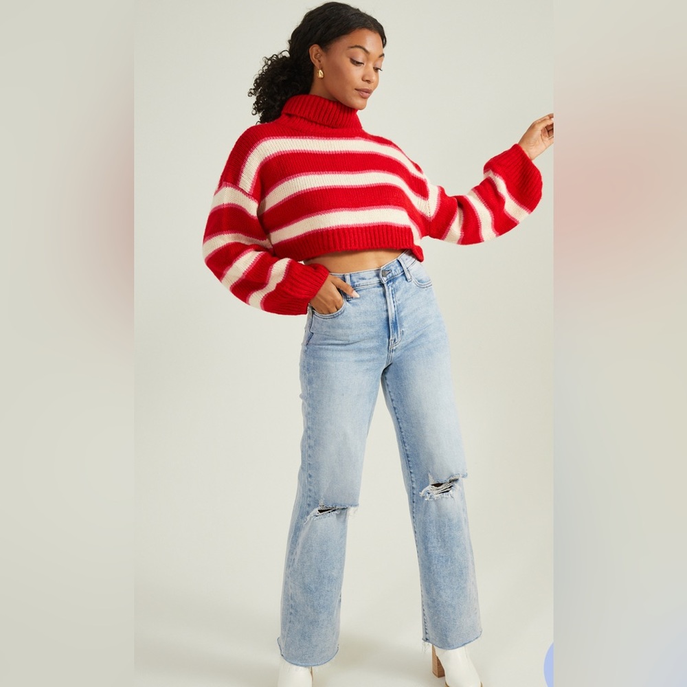 NWT Alexa Turtleneck Sweater